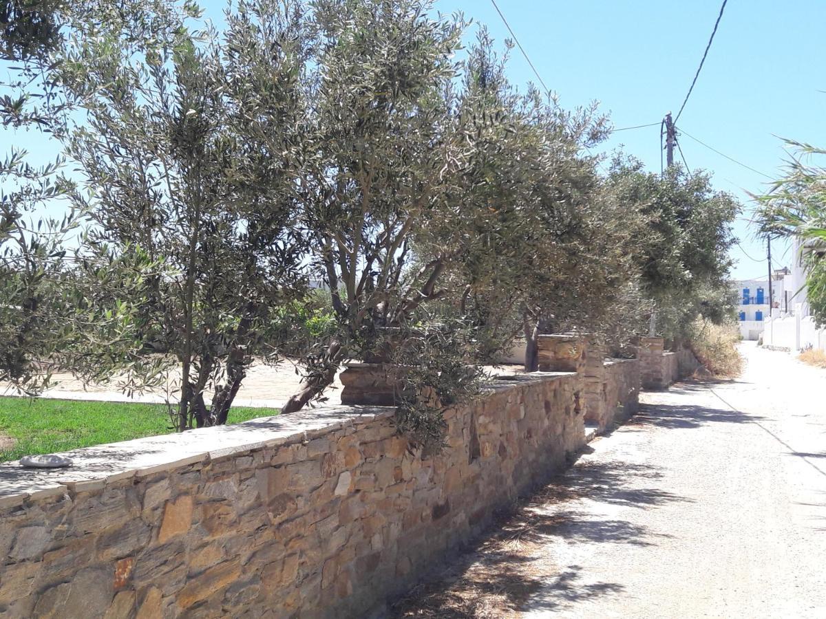 Elpidas Studios Agia Anna  Exterior foto