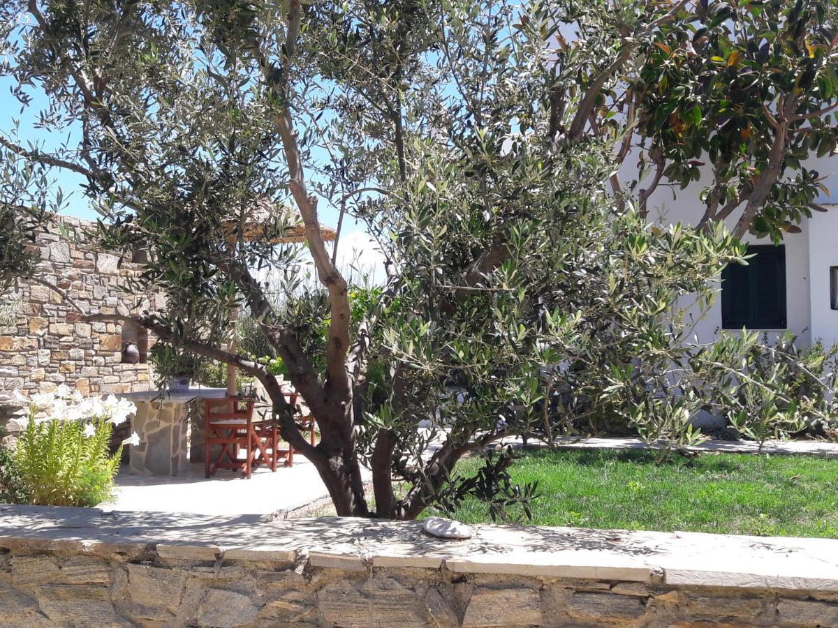 Elpidas Studios Agia Anna  Exterior foto
